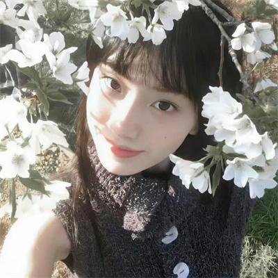土狼之旅